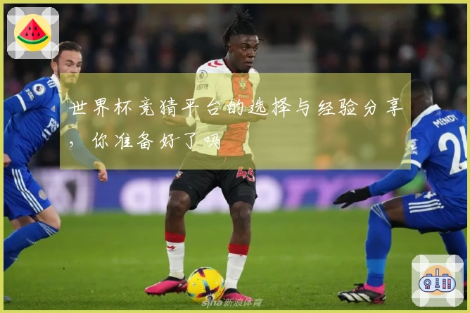 世界杯竞猜平台的选择与经验分享，你准备好了吗