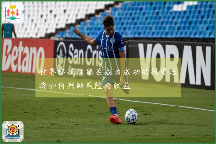 世界杯投注能否成为成功的投资选择如何判断风险与收益