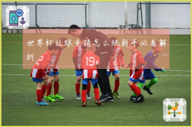 世界杯让球竞猜怎么玩新手必看解析