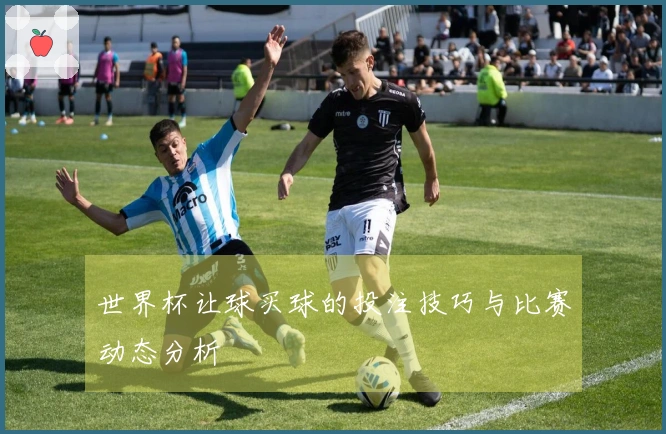 世界杯让球买球的投注技巧与比赛动态分析