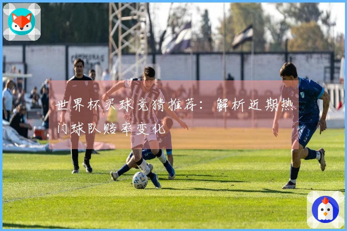 世界杯买球竞猜推荐：解析近期热门球队赔率变化
