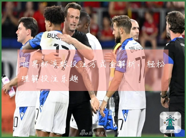 世界杯滚球投注方式全解析，轻松理解投注乐趣
