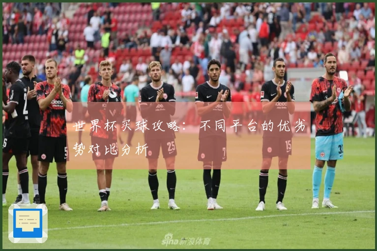 世界杯买球攻略：不同平台的优劣势对比分析