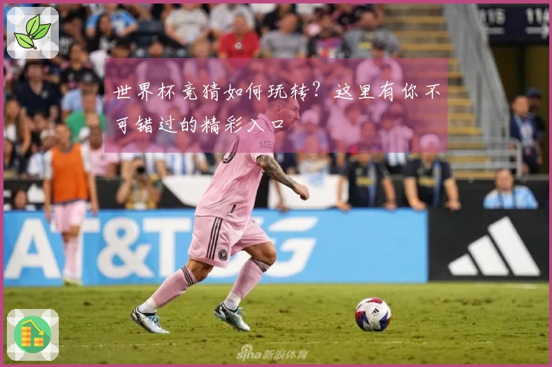 世界杯竞猜如何玩转？这里有你不可错过的精彩入口
