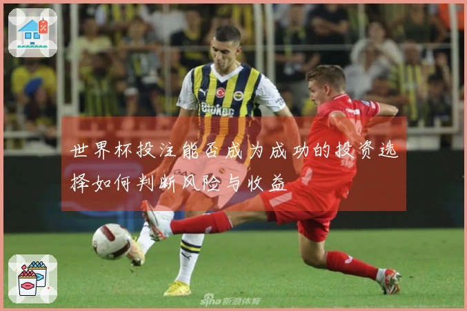 世界杯投注能否成为成功的投资选择如何判断风险与收益