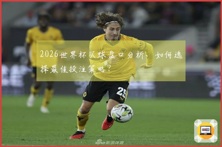2026世界杯买球盘口分析，如何选择最佳投注策略？