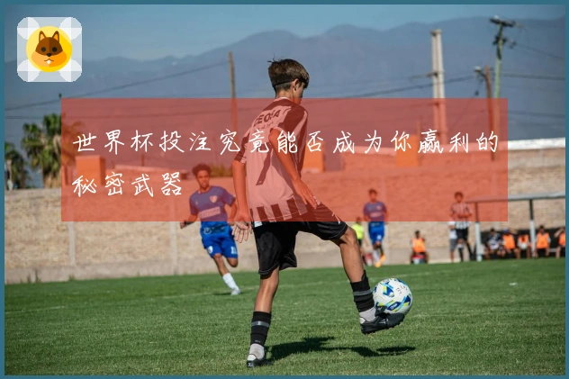 世界杯投注究竟能否成为你赢利的秘密武器
