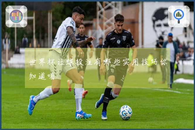 世界杯让球投注有哪些实用技巧你知道吗