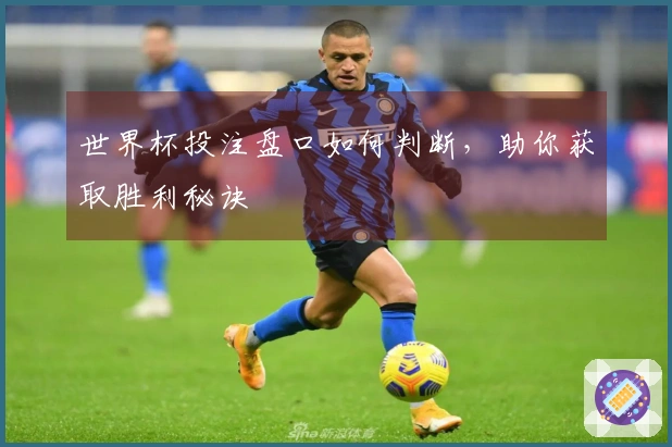 世界杯投注盘口如何判断，助你获取胜利秘诀