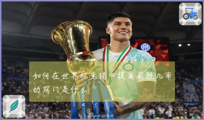 如何在世界杯竞猜中提高获胜几率的窍门是什么