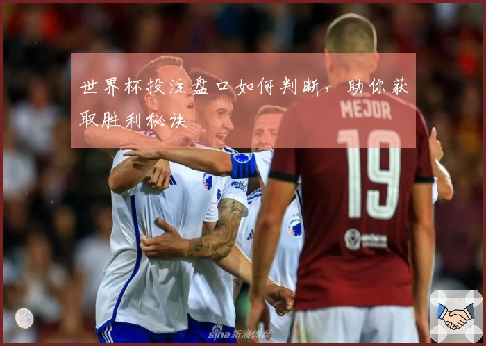 世界杯投注盘口如何判断，助你获取胜利秘诀